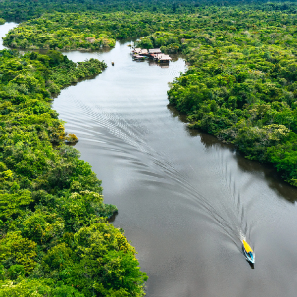 Amazon Jungle Exploration
