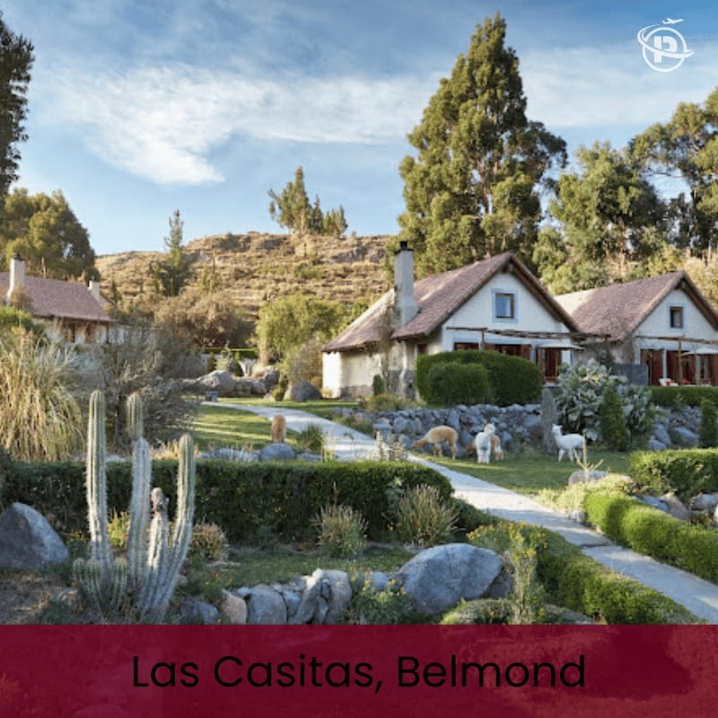 colca