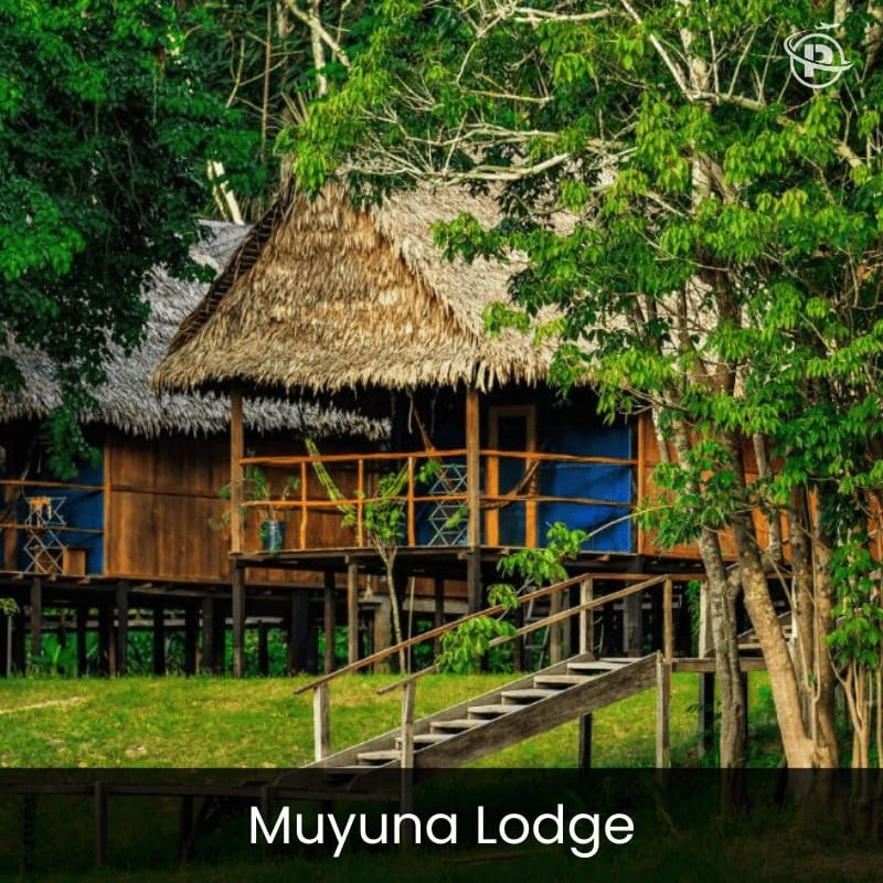 iquitos-jungle