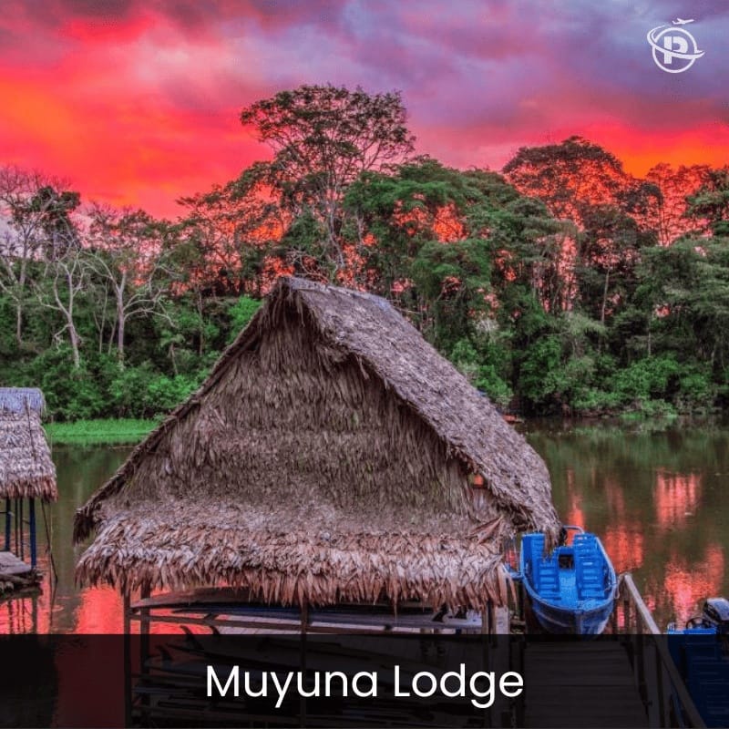 iquitos-jungle