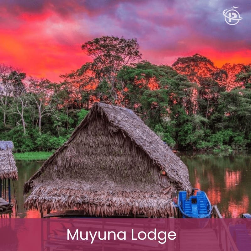 iquitos-jungle