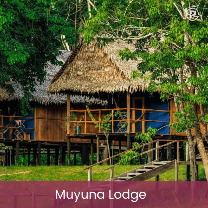 iquitos-jungle