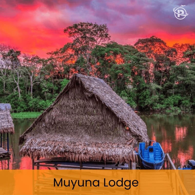 iquitos-jungle