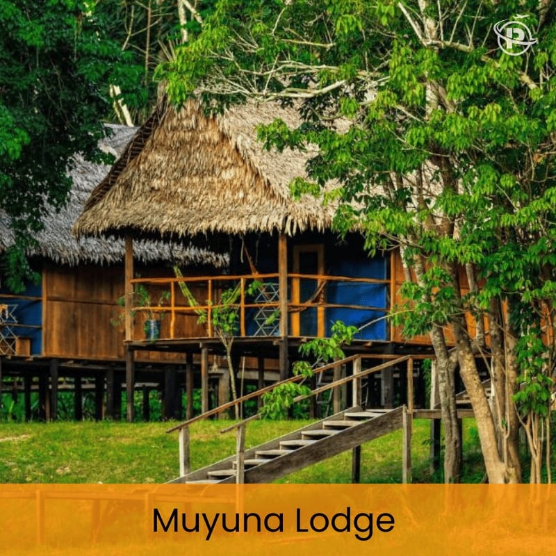 iquitos-jungle