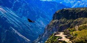 colca canyon arequipa