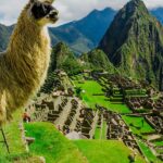 machu picchu in crisis long lines overcrowding and a lack of clear solutions