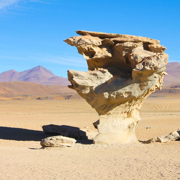 uyuni stone tree